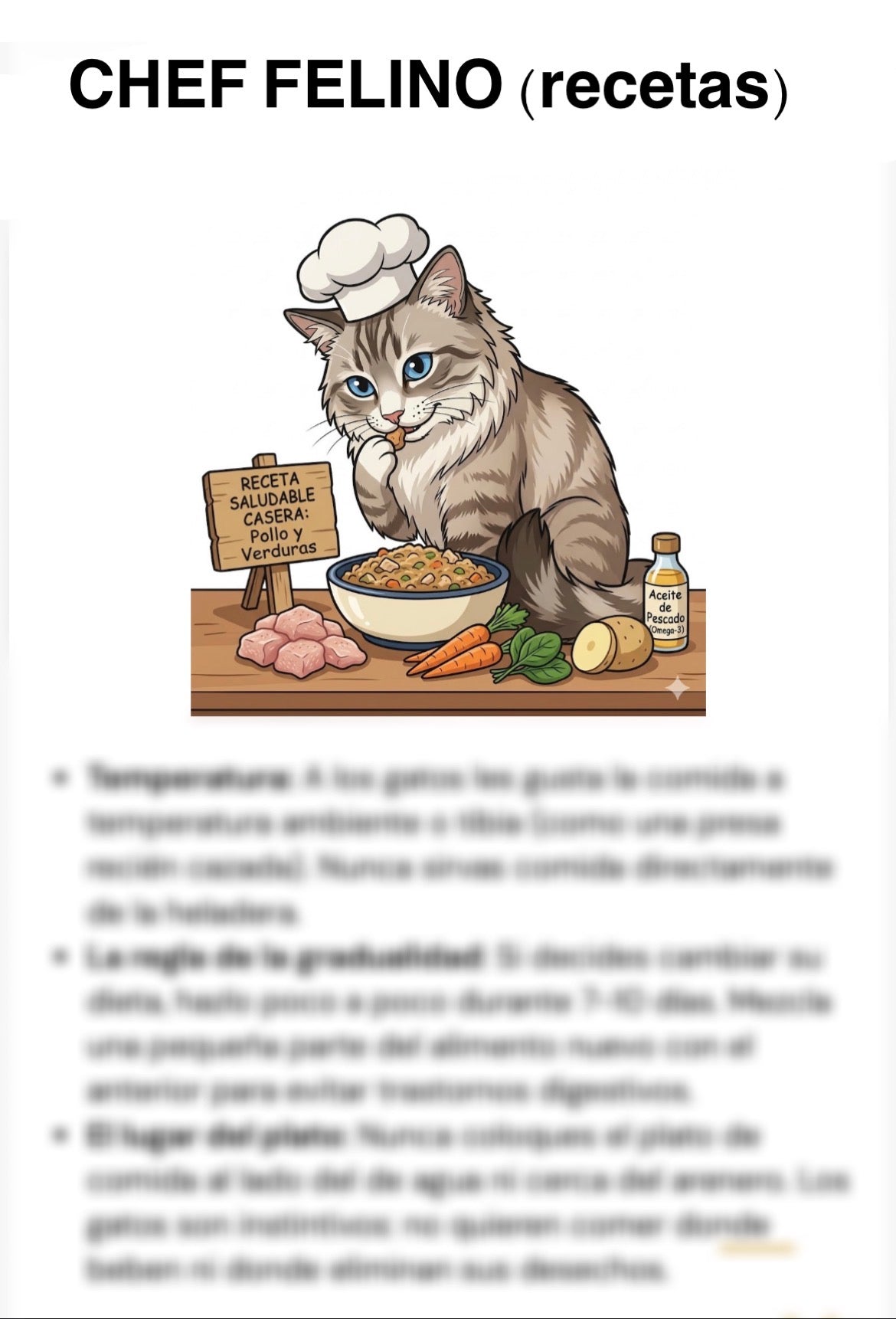 chef felino e-book