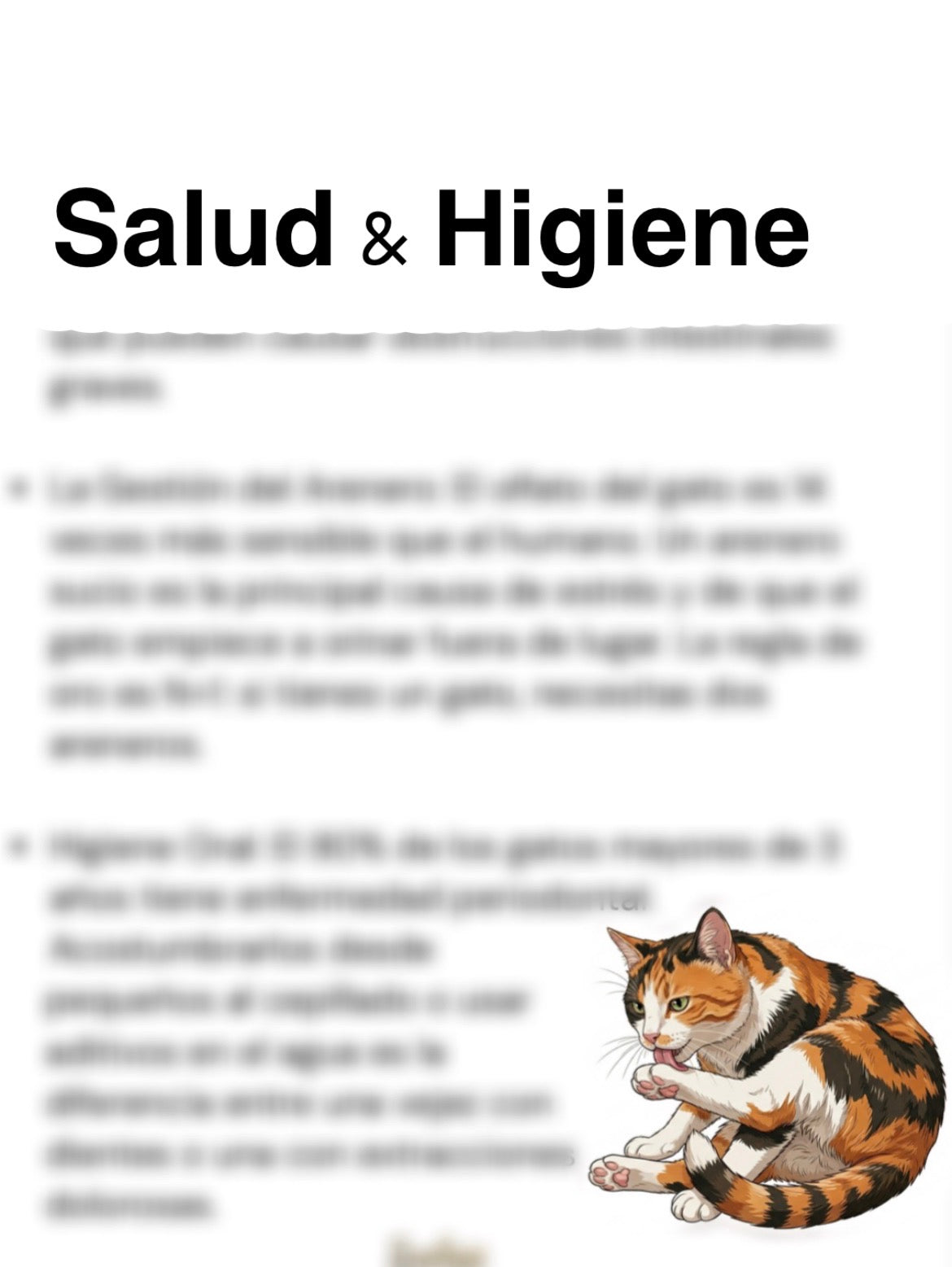 salud felina