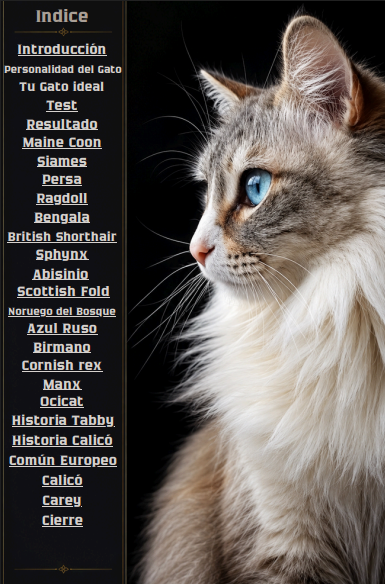 Razas de Gatos — Guía Completa para Elegir el Felino Ideal según tu Estilo de Vida